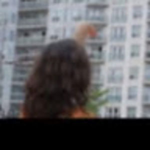 Meet your Posher, Phay